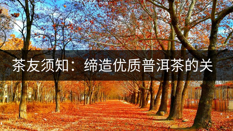 茶友須知:締造優(yōu)質普洱茶的關鍵 茶友須知:締造優(yōu)質普洱茶的關鍵