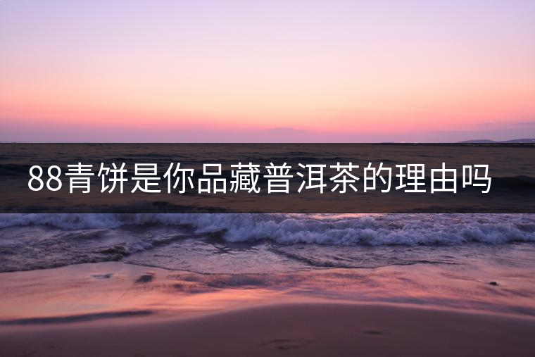 88青餅是你品藏普洱茶的理由嗎？