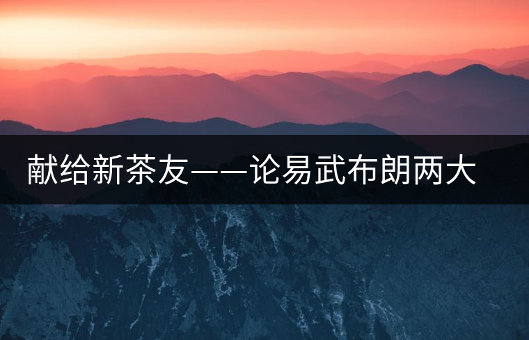 獻(xiàn)給新茶友——論易武布朗兩大風(fēng)格 獻(xiàn)給新茶友——論易武布朗兩大風(fēng)格