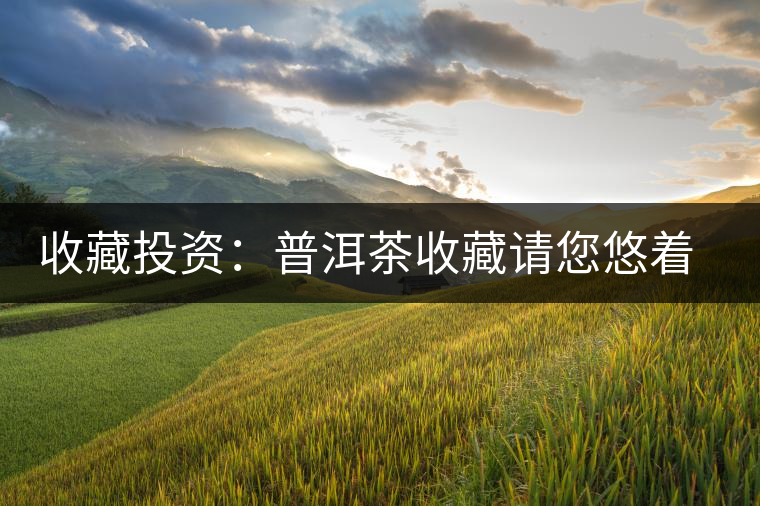 收藏投資:普洱茶收藏請您悠著點(diǎn) 收藏投資:普洱茶收藏請您悠著點(diǎn)