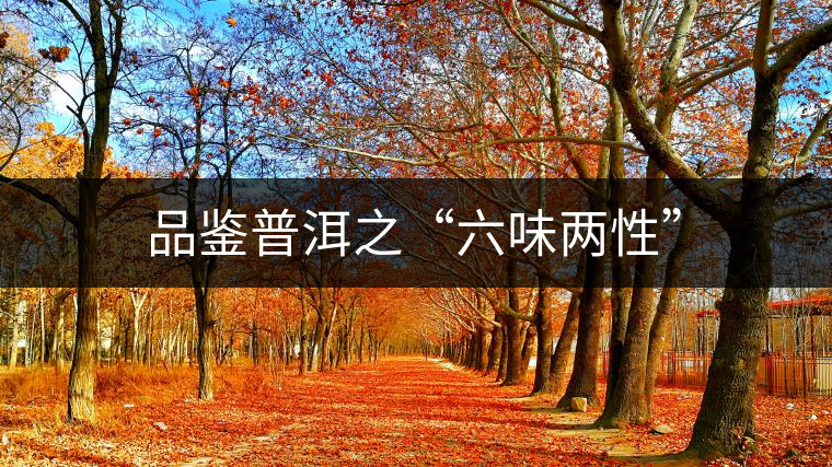 品鑒普洱之“六味兩性” 品鑒普洱之“六味兩性”