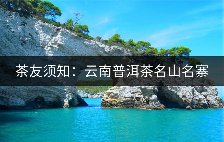 茶友須知：云南普洱茶名山名寨