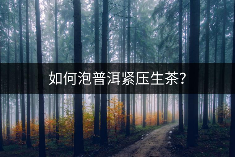 如何泡普洱緊壓生茶？