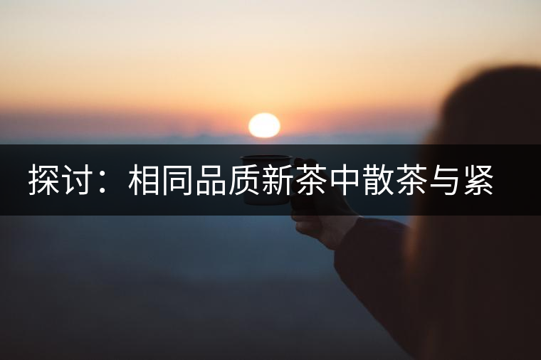 探討：相同品質(zhì)新茶中散茶與緊壓茶哪個(gè)好？