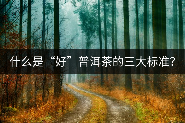什么是“好”普洱茶的三大標(biāo)準(zhǔn)? 什么是“好”普洱茶的三大標(biāo)準(zhǔn)?