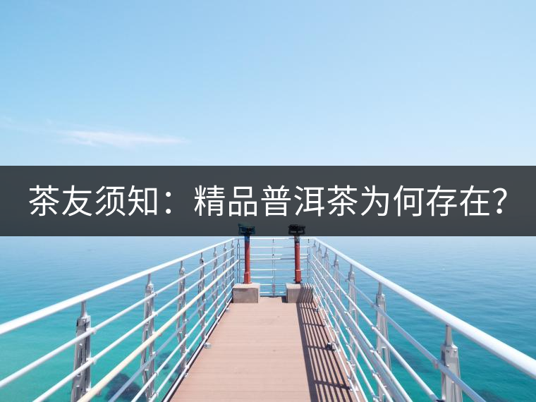 茶友須知：精品普洱茶為何存在？