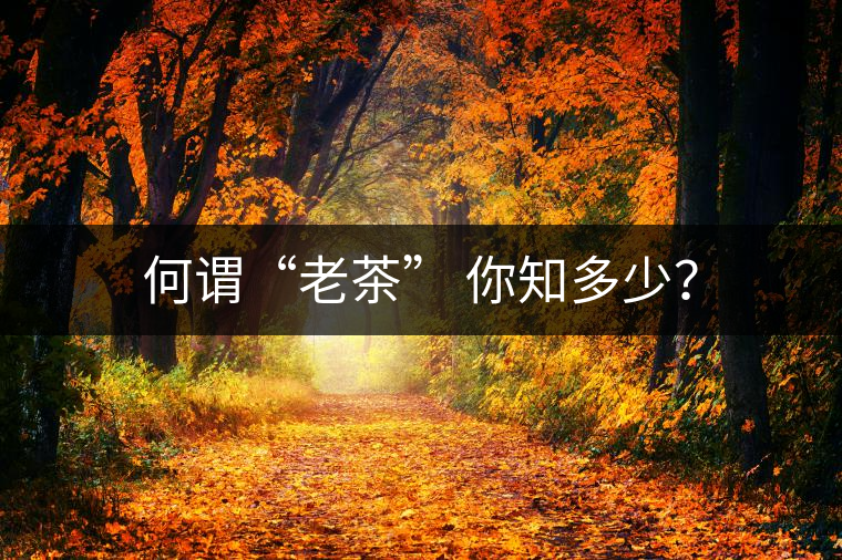 何謂“老茶” 你知多少？