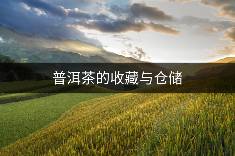 普洱茶的收藏與倉(cāng)儲(chǔ) 普洱茶的收藏與倉(cāng)儲(chǔ)