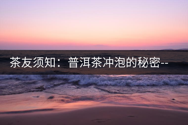 茶友須知：普洱茶沖泡的秘密--醒茶