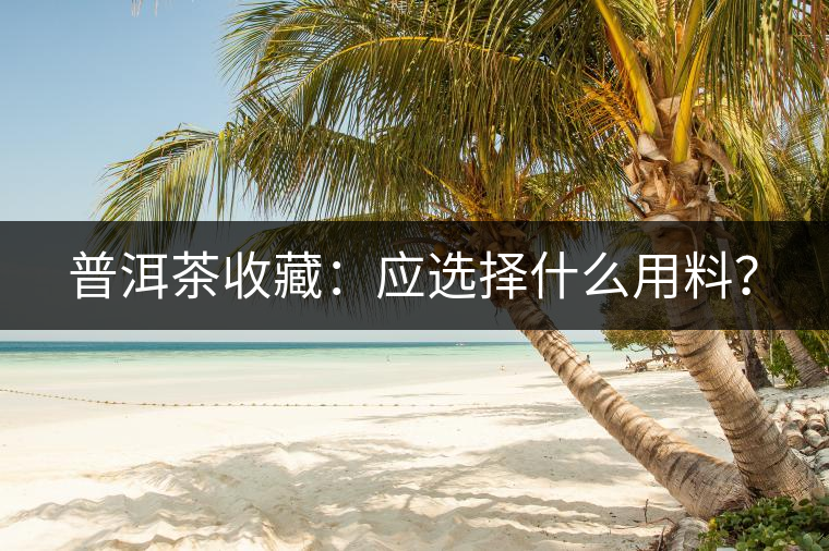 普洱茶收藏：應(yīng)選擇什么用料？