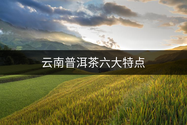 云南普洱茶六大特點(diǎn)