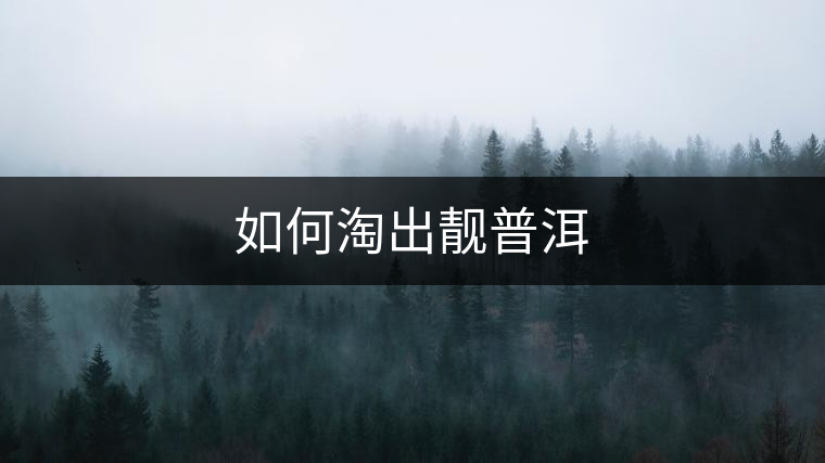 如何淘出靚普洱 如何淘出靚普洱