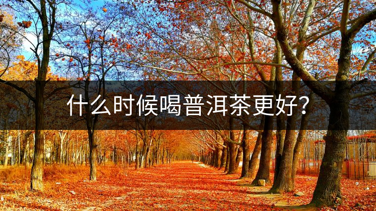什么時(shí)候喝普洱茶更好？