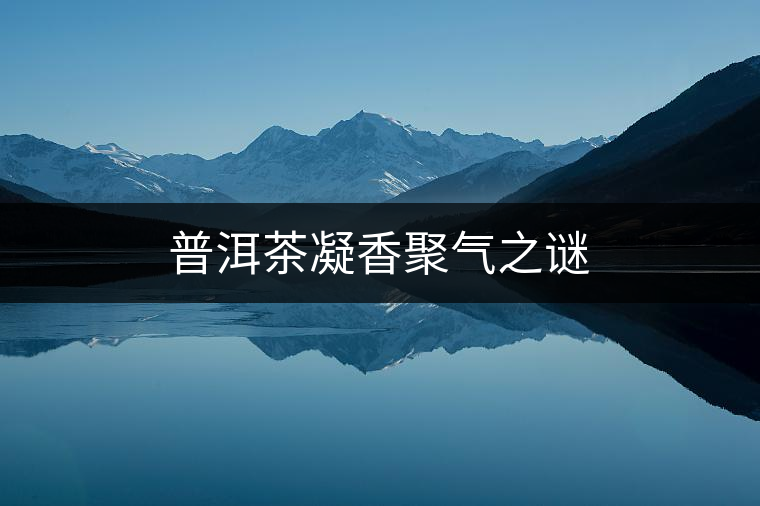 普洱茶凝香聚氣之謎 普洱茶凝香聚氣之謎