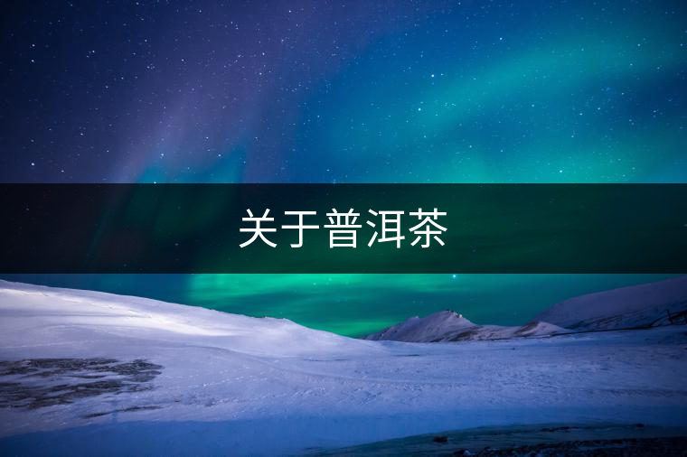 關(guān)于普洱茶
