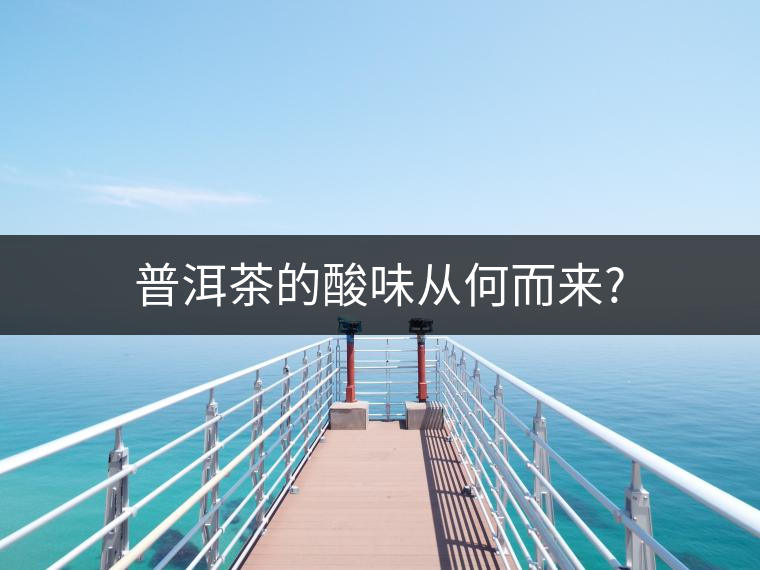 普洱茶的酸味從何而來? 普洱茶的酸味從何而來?