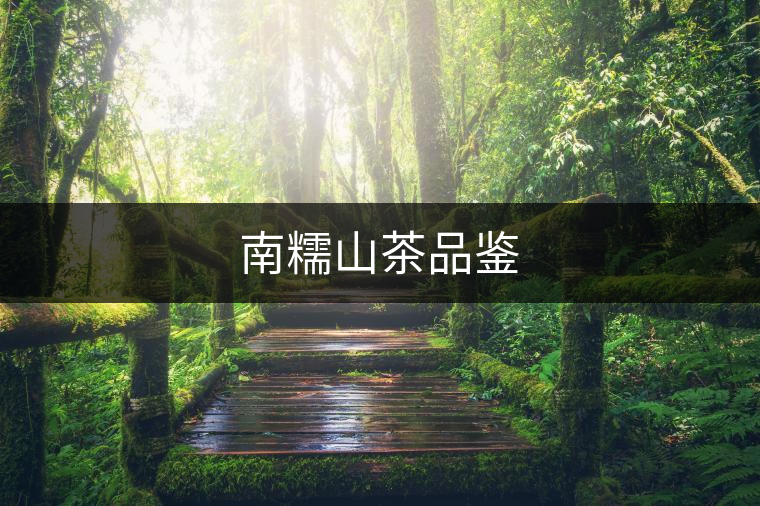 南糯山茶品鑒 南糯山茶品鑒