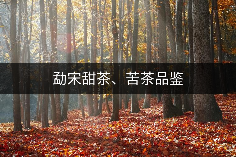 勐宋甜茶、苦茶品鑒