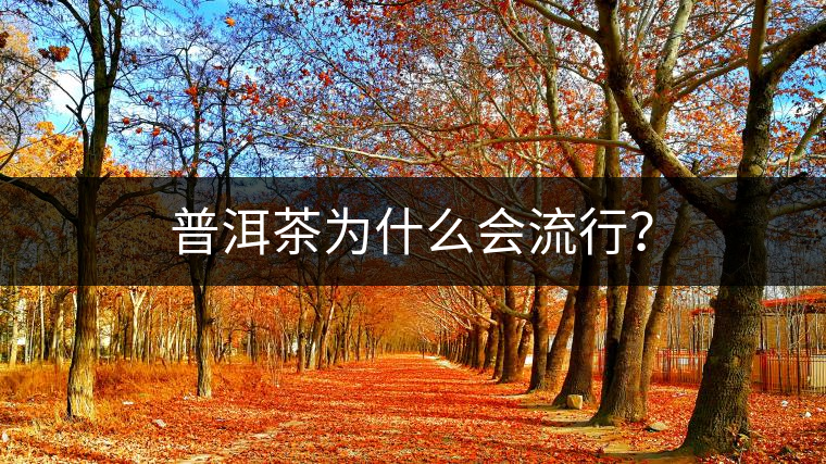 普洱茶為什么會(huì)流行？