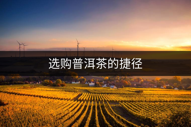 選購普洱茶的捷徑 選購普洱茶的捷徑