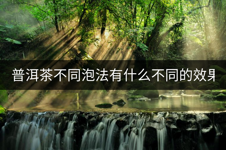 普洱茶不同泡法有什么不同的效果？