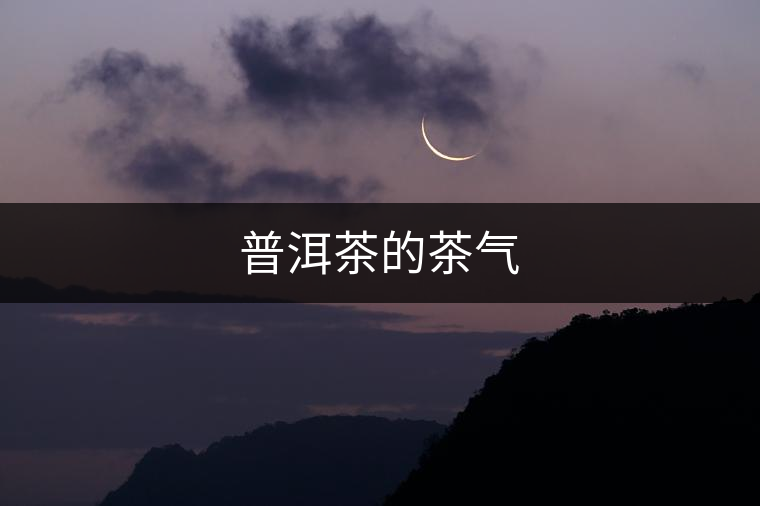 普洱茶的茶氣