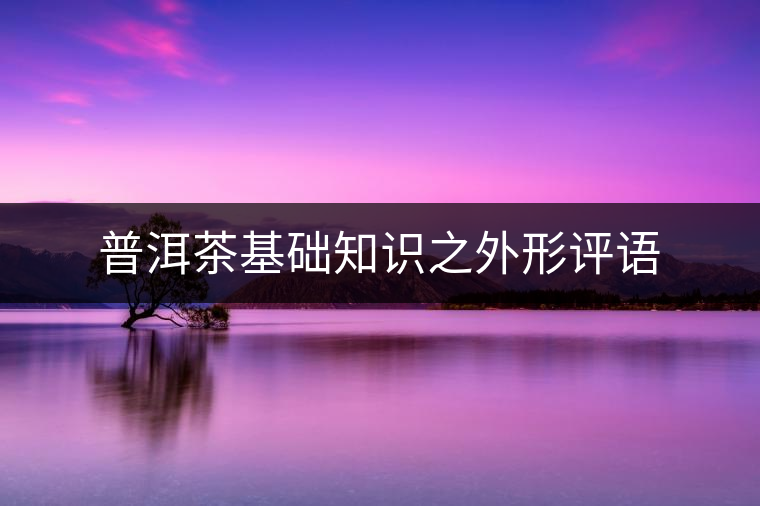 普洱茶基礎(chǔ)知識之外形評語 普洱茶基礎(chǔ)知識之外形評語