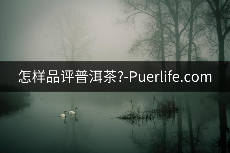 怎樣品評普洱茶?-Puerlife.com 怎樣品評普洱茶?-Puerlife.com