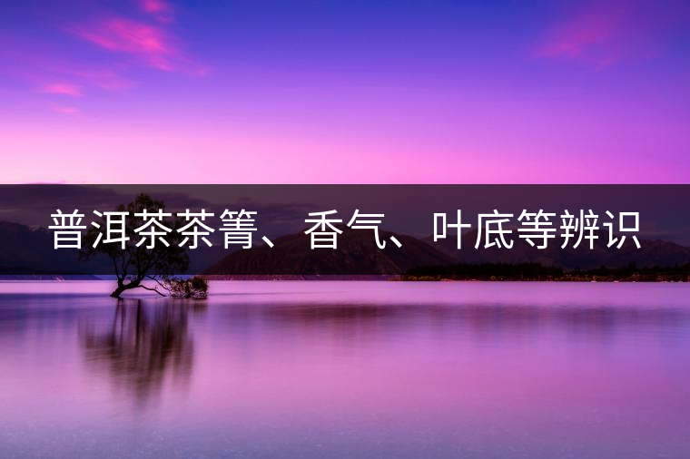 普洱茶茶箐、香氣、葉底等辨識