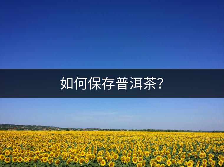 如何保存普洱茶？