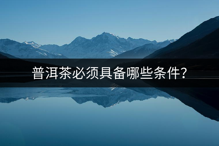 普洱茶必須具備哪些條件？