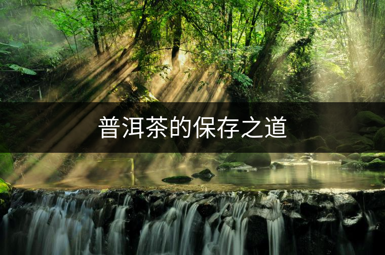 普洱茶的保存之道 普洱茶的保存之道