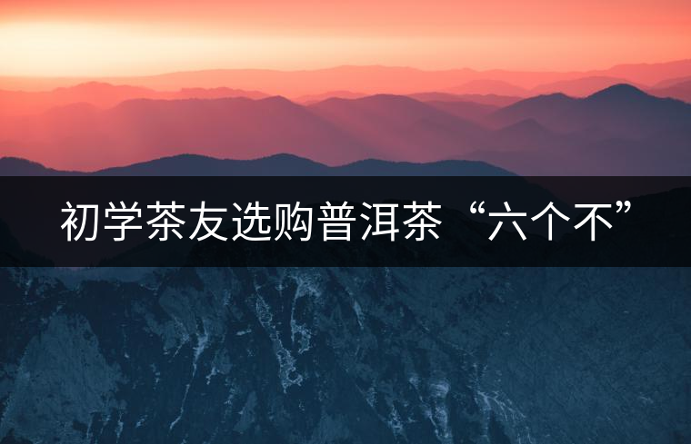 初學(xué)茶友選購普洱茶“六個(gè)不”