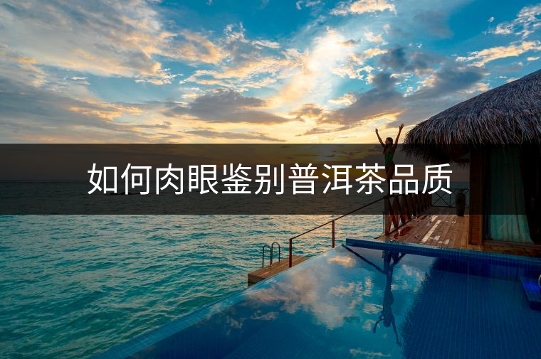 如何肉眼鑒別普洱茶品質