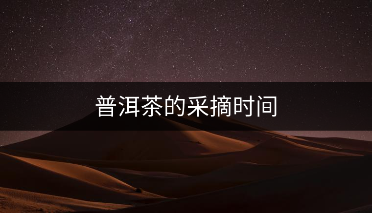普洱茶的采摘時(shí)間