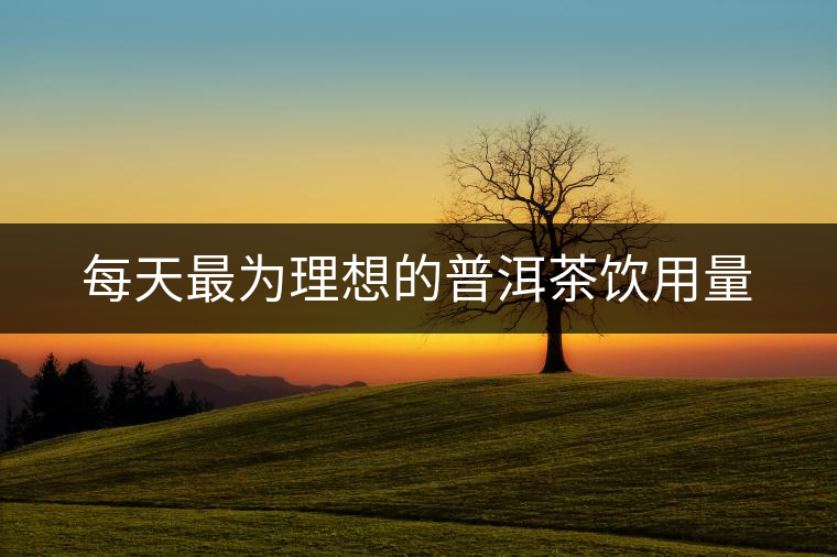 每天最為理想的普洱茶飲用量 每天最為理想的普洱茶飲用量
