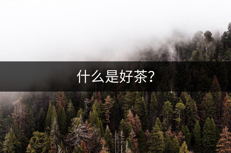 什么是好茶？