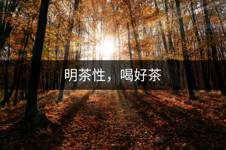 明茶性，喝好茶