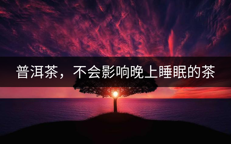 普洱茶，不會(huì)影響晚上睡眠的茶