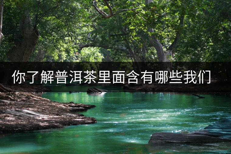 你了解普洱茶里面含有哪些我們?nèi)梭w必備的元素嗎？