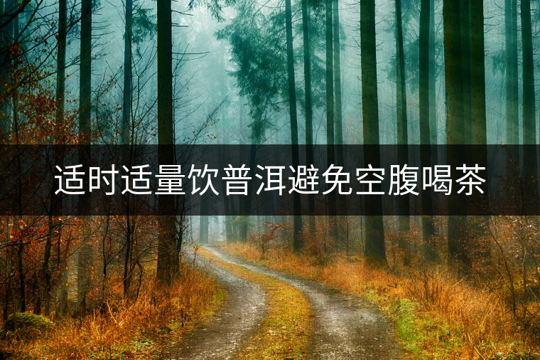 適時適量飲普洱避免空腹喝茶 適時適量飲普洱避免空腹喝茶