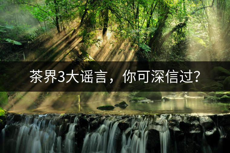 茶界3大謠言，你可深信過？