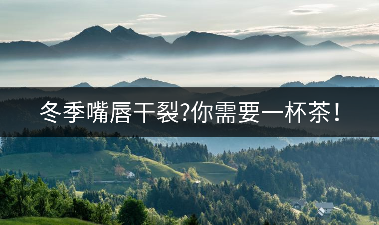 冬季嘴唇干裂?你需要一杯茶！