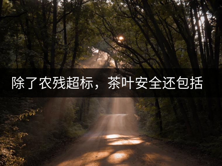 除了農(nóng)殘超標(biāo)，茶葉安全還包括哪些方面？