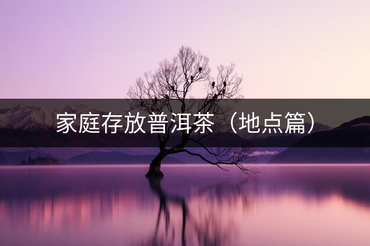 家庭存放普洱茶(地點篇) 家庭存放普洱茶(地點篇)