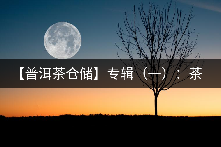 【普洱茶倉儲】專輯(一):茶商倉儲與家庭倉的差異 【普洱茶倉儲】專輯(一):茶商倉儲與家庭倉的差異
