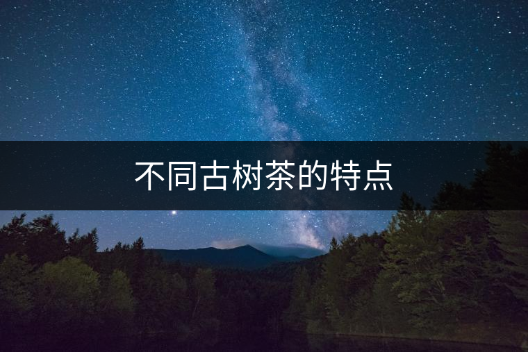 不同古樹茶的特點