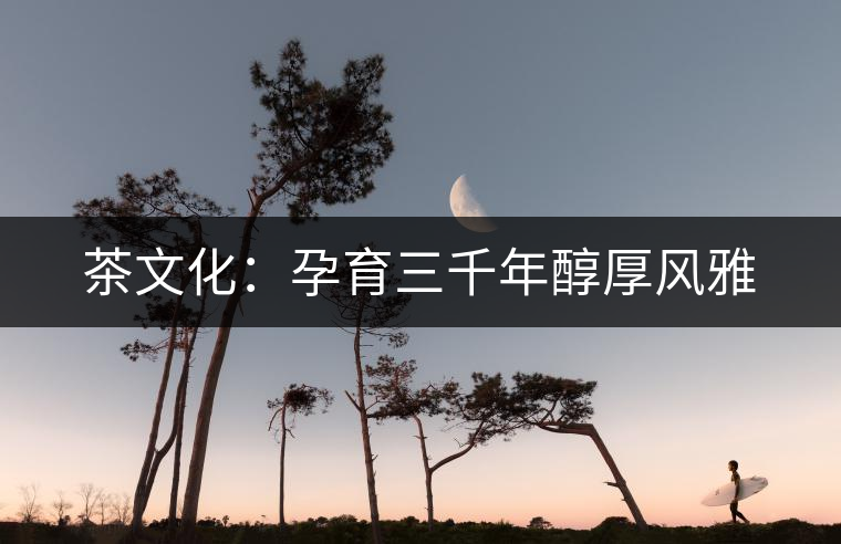 茶文化:孕育三千年醇厚風(fēng)雅 茶文化:孕育三千年醇厚風(fēng)雅