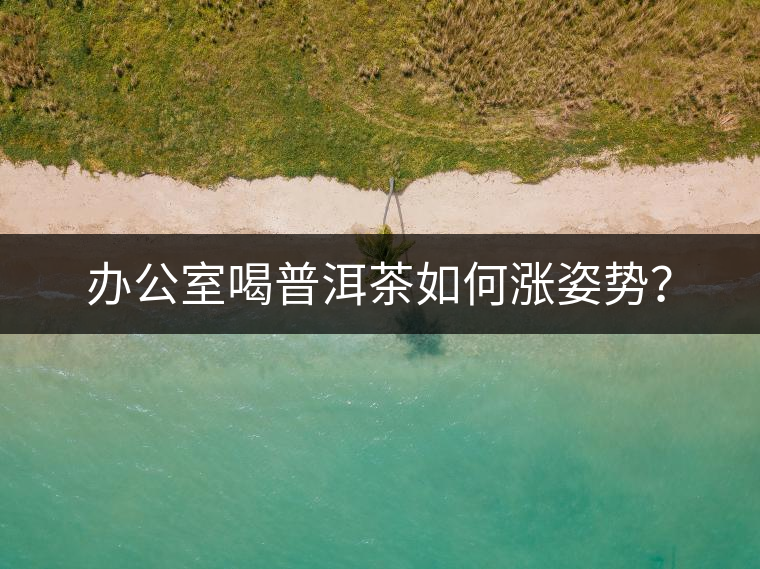 辦公室喝普洱茶如何漲姿勢(shì)？