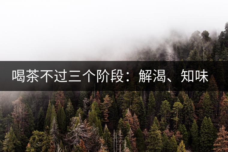 喝茶不過三個階段：解渴、知味、怡情